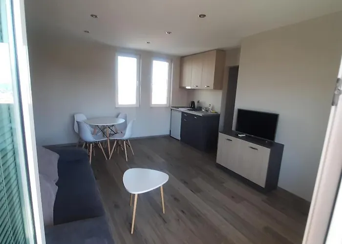 招待所 Gradina 切尔诺莫雷茨